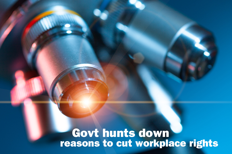 150106-govt-hunts-down-cuts800pxw