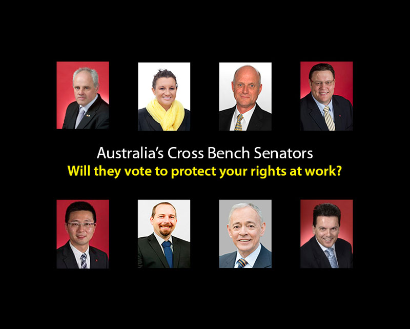 email-crossbench-senators800pxw