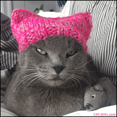 170222 kitty cat in pussyhat animated